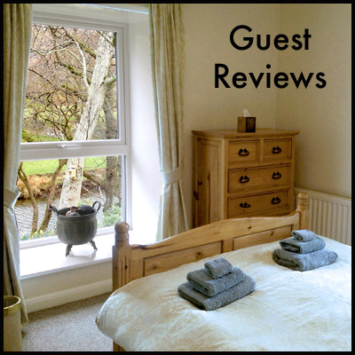 Guest Reviews